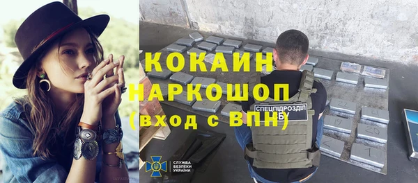 прущие грибы Армянск