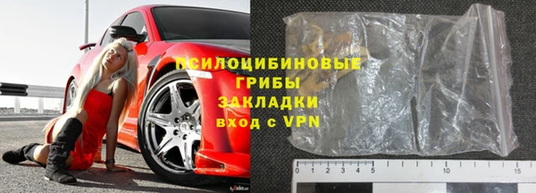 прущие грибы Армянск