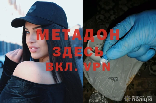 прущие грибы Армянск