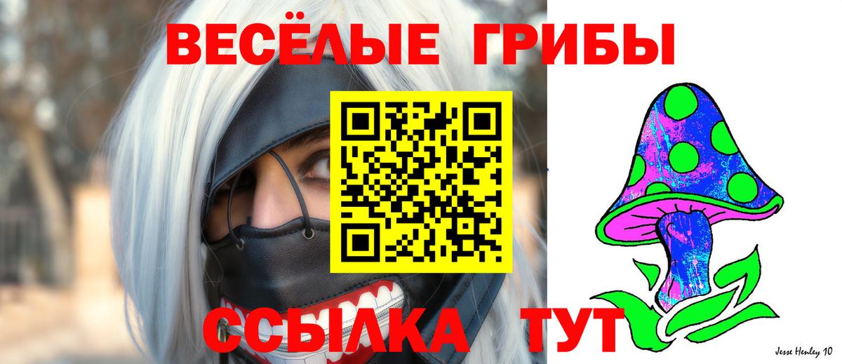 Галлюциногенные грибы Psilocybine cubensis  Псилоцибиновые грибы мухоморы  Вход с VPN  Белгород 
